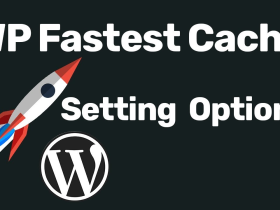 WP Fastest Cache开心版
