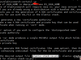 ElasticSearch7.14配置SSL,使用https访问