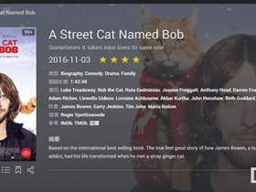 DS Video 豆瓣刮削器补丁 for DSM6