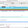 使用Python进行TCP数据包注入（伪造）