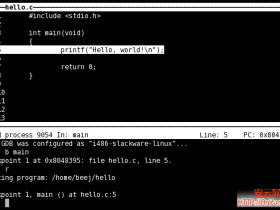 Linux编程基础——GDB（查看数据）