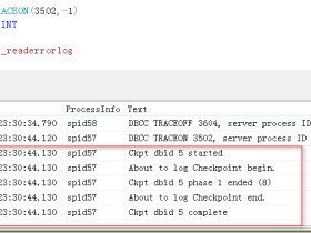 如何控制SQLServer中的跟踪标记_MsSql