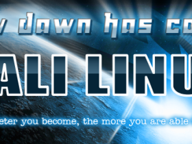Kali Linux终于发布！