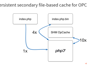 利用 PHP7 的 OPcache 执行 PHP 代码 - Her0in
