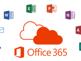 Office 365 毕业全家福