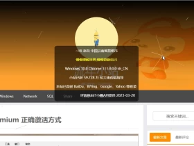 给你的网站做个访问信息弹窗