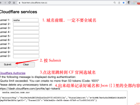 借助CF Argo Tunnel隧道,在PaaS容器云平台部署哪吒探针