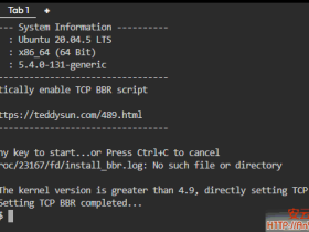 在KVM虚拟化的VPS安装BBR模块加速