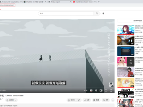 将YouTube的视频下载至本地