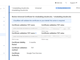 解决 ClouDNS 域名申请 CloudFlare SSL 证书问题