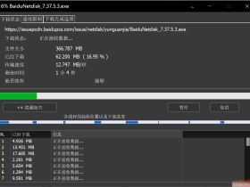 一串命令破解IDM
