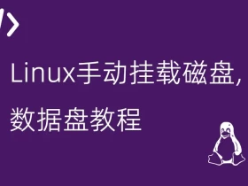 Linux手动挂载磁盘,数据盘教程
