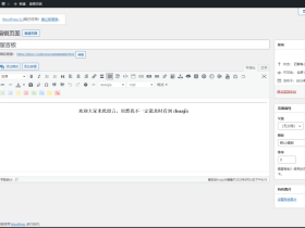 使用 WordPress 遇到的几个坑