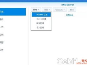 群晖DNS Server自动识别内网还是外网连接