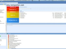 Web安全扫描器Netsparker v3.5.3破解版