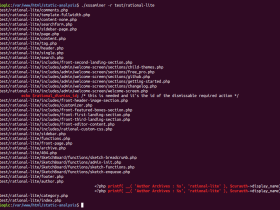 如何使用XSSaminer工具在PHP源码中挖掘XSS漏洞|