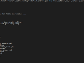 ElasticSearch7.10配置Search-Guard