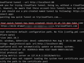使用TryCloudflare(cloudflared)实现免费内网映射