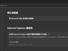 如何在 Windows 11 启用 IE 浏览器