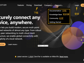 zerotier介绍及官网操作、安装使用