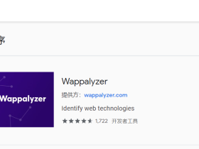 wappalyzer-谷歌浏览器插件