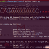 系统命令注入漏洞自动化测试工具 – Commix
