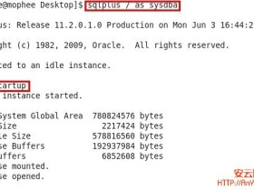 Linux下的Oracle启动脚本及其开机自启动