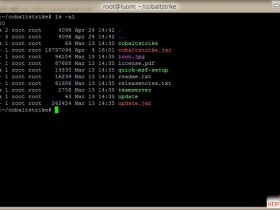 Cobalt Strike 之团队服务器的搭建与DNS通讯演示 -