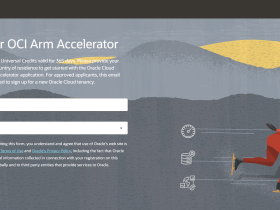 申请Oracle的Arm Accelerator试用VPS