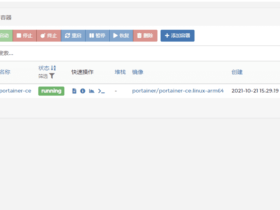 【Portainer】Docker容器管理工具Portainer竟然还有汉化包?