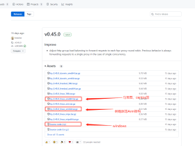 【Frp内网穿透】花生壳内网穿透收费后的平替