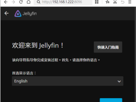 用Jeelyfin搭建属于自己的家庭影音(全网最良心、最全)