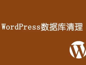 WordPress数据库清理