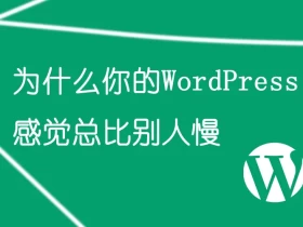 为什么你的WordPress感觉总比别人慢
