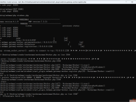 以一种访问权限不允许的方式做了一个访问套接字的尝试处理