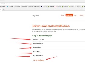 ngrok一款内网穿透+记录HTTP请求的神器(支持HTTPS