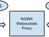 Nginx反向代理WebSocket